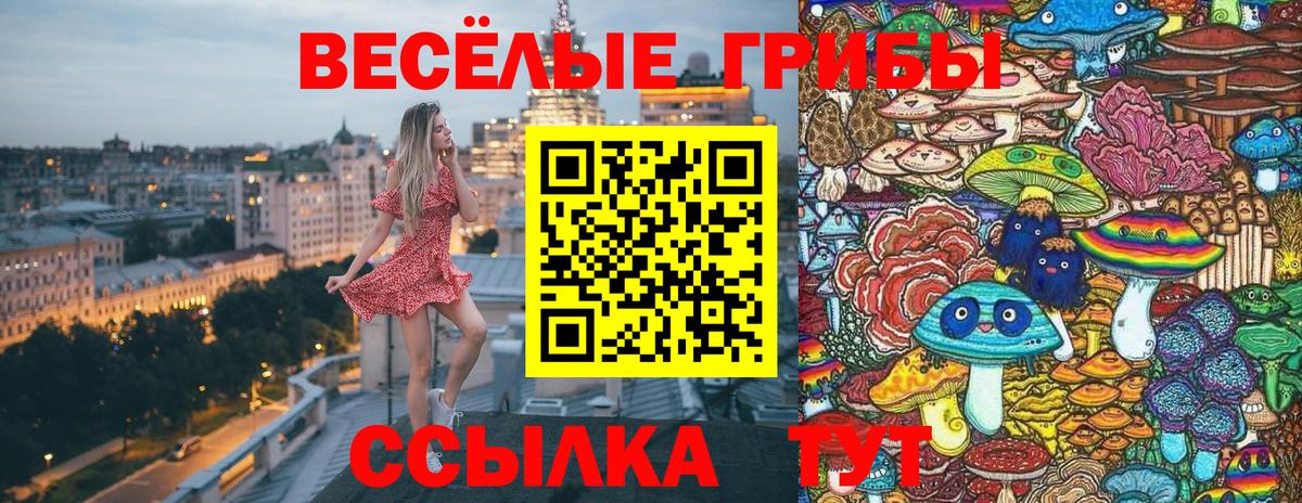 Галлюциногенные грибы GOLDEN TEACHER Муравленко