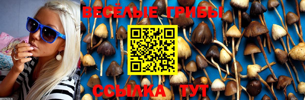 Псилоцибиновые грибы мухоморы  Псилоцибиновые грибы Magic Shrooms  Вход с VPN  Муравленко 